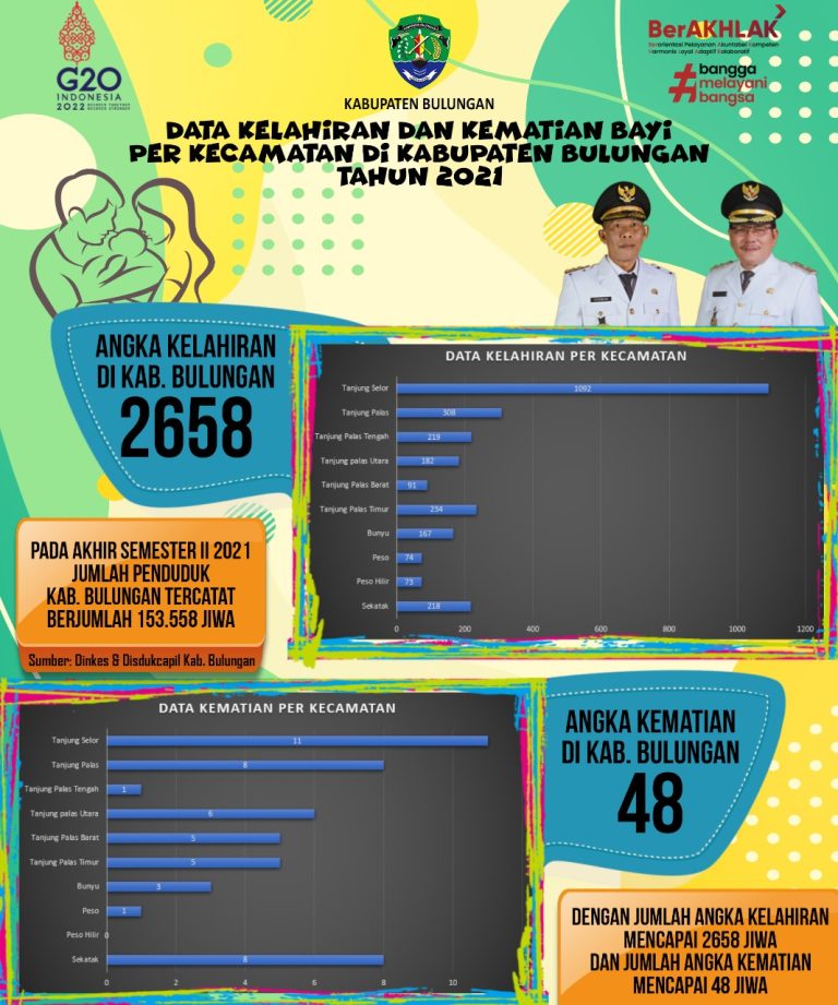 Data Kelahiran dan Kematian Bayi Kab. Bulungan Tahun 2021